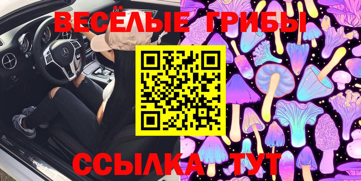 Можга  закладки  Вход с VPN  Псилоцибиновые грибы ЛСД 